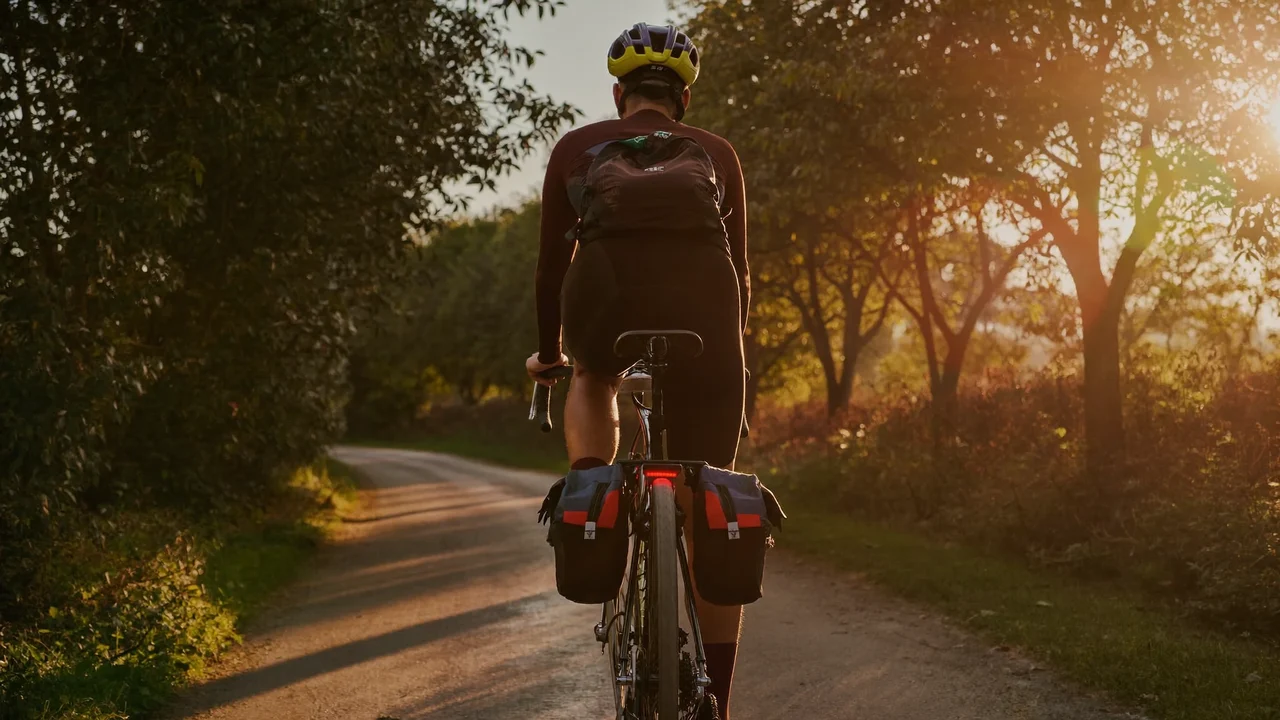 Rowerzysta z tyłu na alei drzew, z sakwami i lampkami o złotej godzinie