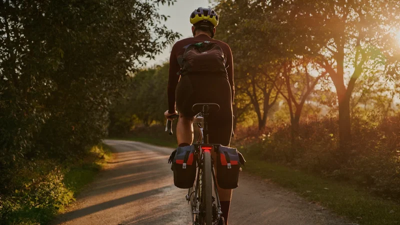 Rowerzysta z tyłu na alei drzew, z sakwami i lampkami o złotej godzinie
